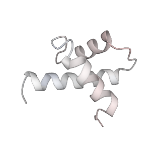 10503_6th6_At_v1-1
Cryo-EM Structure of T. kodakarensis 70S ribosome