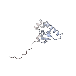 10503_6th6_Au_v1-1
Cryo-EM Structure of T. kodakarensis 70S ribosome