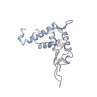 10503_6th6_Av_v1-1
Cryo-EM Structure of T. kodakarensis 70S ribosome