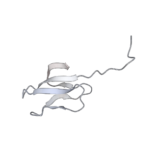 10503_6th6_Ax_v1-1
Cryo-EM Structure of T. kodakarensis 70S ribosome