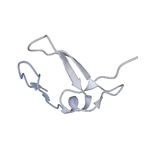 10503_6th6_Az_v1-1
Cryo-EM Structure of T. kodakarensis 70S ribosome