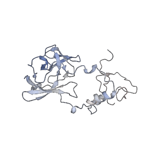 10503_6th6_BC_v1-1
Cryo-EM Structure of T. kodakarensis 70S ribosome