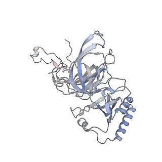 10503_6th6_BD_v1-1
Cryo-EM Structure of T. kodakarensis 70S ribosome