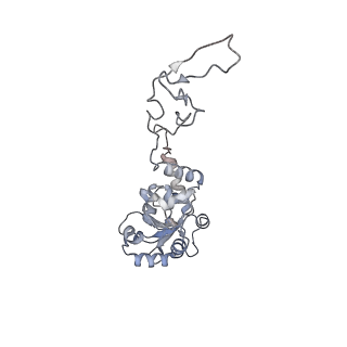 10503_6th6_BE_v1-1
Cryo-EM Structure of T. kodakarensis 70S ribosome