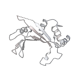10503_6th6_BF_v1-1
Cryo-EM Structure of T. kodakarensis 70S ribosome