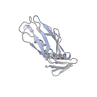 10503_6th6_BG_v1-1
Cryo-EM Structure of T. kodakarensis 70S ribosome