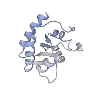 10503_6th6_BH_v1-1
Cryo-EM Structure of T. kodakarensis 70S ribosome