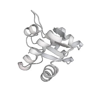 10503_6th6_BI_v1-1
Cryo-EM Structure of T. kodakarensis 70S ribosome