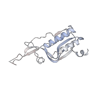 10503_6th6_BJ_v1-1
Cryo-EM Structure of T. kodakarensis 70S ribosome