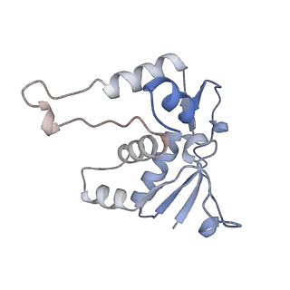 10503_6th6_BK_v1-1
Cryo-EM Structure of T. kodakarensis 70S ribosome