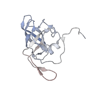 10503_6th6_BL_v1-1
Cryo-EM Structure of T. kodakarensis 70S ribosome