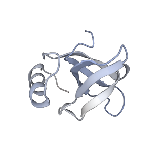 10503_6th6_BM_v1-1
Cryo-EM Structure of T. kodakarensis 70S ribosome