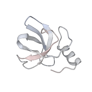 10503_6th6_BN_v1-1
Cryo-EM Structure of T. kodakarensis 70S ribosome