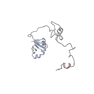 10503_6th6_BO_v1-1
Cryo-EM Structure of T. kodakarensis 70S ribosome
