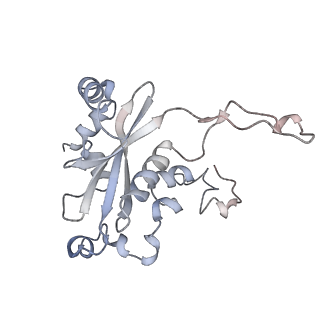 10503_6th6_BP_v1-1
Cryo-EM Structure of T. kodakarensis 70S ribosome