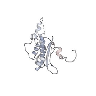 10503_6th6_BQ_v1-1
Cryo-EM Structure of T. kodakarensis 70S ribosome