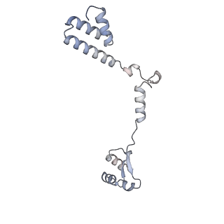 10503_6th6_BS_v1-1
Cryo-EM Structure of T. kodakarensis 70S ribosome