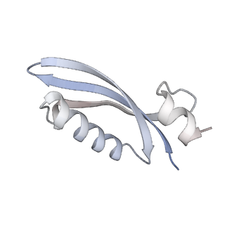 10503_6th6_BT_v1-1
Cryo-EM Structure of T. kodakarensis 70S ribosome