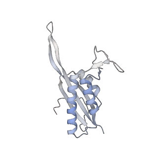10503_6th6_BV_v1-1
Cryo-EM Structure of T. kodakarensis 70S ribosome