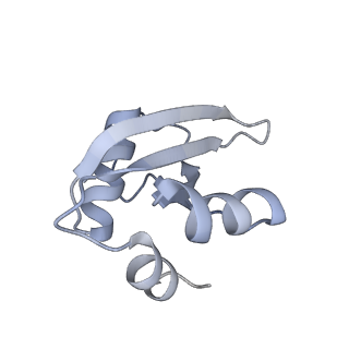 10503_6th6_BW_v1-1
Cryo-EM Structure of T. kodakarensis 70S ribosome