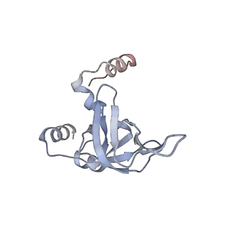 10503_6th6_BX_v1-1
Cryo-EM Structure of T. kodakarensis 70S ribosome