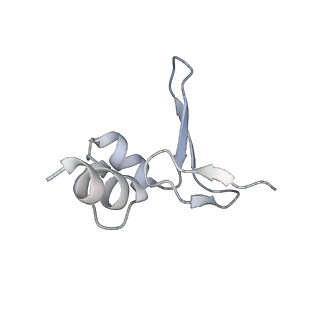 10503_6th6_BY_v1-1
Cryo-EM Structure of T. kodakarensis 70S ribosome