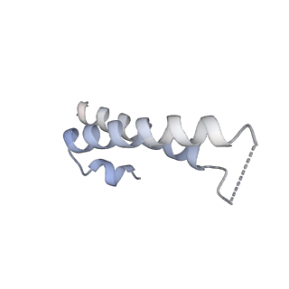 10503_6th6_BZ_v1-1
Cryo-EM Structure of T. kodakarensis 70S ribosome
