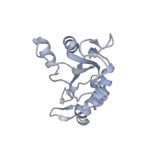 10503_6th6_Ba_v1-1
Cryo-EM Structure of T. kodakarensis 70S ribosome