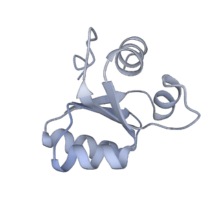 10503_6th6_Bb_v1-1
Cryo-EM Structure of T. kodakarensis 70S ribosome