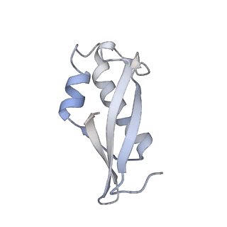 10503_6th6_Bc_v1-1
Cryo-EM Structure of T. kodakarensis 70S ribosome