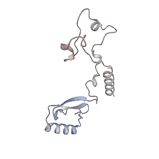 10503_6th6_Bd_v1-1
Cryo-EM Structure of T. kodakarensis 70S ribosome