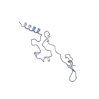 10503_6th6_Be_v1-1
Cryo-EM Structure of T. kodakarensis 70S ribosome