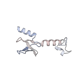10503_6th6_Bg_v1-1
Cryo-EM Structure of T. kodakarensis 70S ribosome