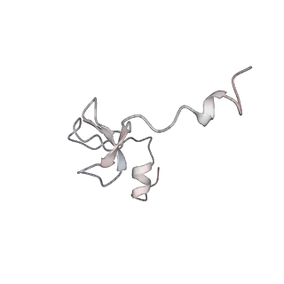 10503_6th6_Bh_v1-1
Cryo-EM Structure of T. kodakarensis 70S ribosome