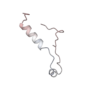 10503_6th6_Bi_v1-1
Cryo-EM Structure of T. kodakarensis 70S ribosome