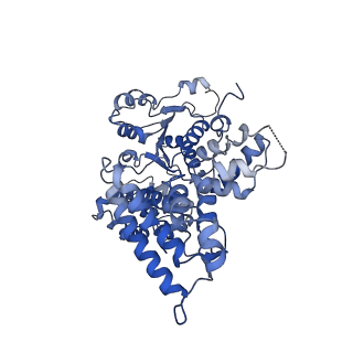 25568_7thj_A_v1-2
Structure of the yeast clamp loader (Replication Factor C RFC) bound to the sliding clamp (Proliferating Cell Nuclear Antigen PCNA) in an autoinhibited conformation