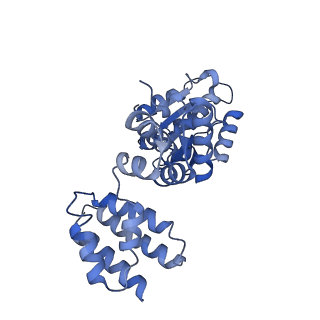 25568_7thj_B_v1-1
Structure of the yeast clamp loader (Replication Factor C RFC) bound to the sliding clamp (Proliferating Cell Nuclear Antigen PCNA) in an autoinhibited conformation