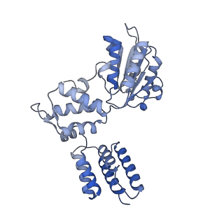 25568_7thj_C_v1-1
Structure of the yeast clamp loader (Replication Factor C RFC) bound to the sliding clamp (Proliferating Cell Nuclear Antigen PCNA) in an autoinhibited conformation