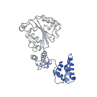 25568_7thj_D_v1-1
Structure of the yeast clamp loader (Replication Factor C RFC) bound to the sliding clamp (Proliferating Cell Nuclear Antigen PCNA) in an autoinhibited conformation