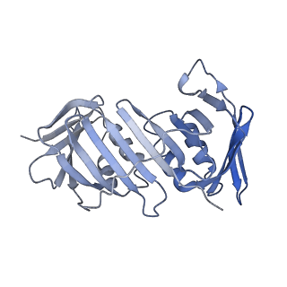25568_7thj_F_v1-1
Structure of the yeast clamp loader (Replication Factor C RFC) bound to the sliding clamp (Proliferating Cell Nuclear Antigen PCNA) in an autoinhibited conformation