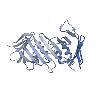 25568_7thj_F_v1-2
Structure of the yeast clamp loader (Replication Factor C RFC) bound to the sliding clamp (Proliferating Cell Nuclear Antigen PCNA) in an autoinhibited conformation