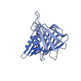 25568_7thj_G_v1-2
Structure of the yeast clamp loader (Replication Factor C RFC) bound to the sliding clamp (Proliferating Cell Nuclear Antigen PCNA) in an autoinhibited conformation