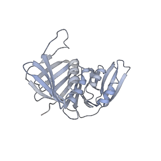 25568_7thj_H_v1-1
Structure of the yeast clamp loader (Replication Factor C RFC) bound to the sliding clamp (Proliferating Cell Nuclear Antigen PCNA) in an autoinhibited conformation