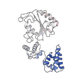 25614_7thv_D_v1-2
Structure of the yeast clamp loader (Replication Factor C RFC) bound to the sliding clamp (Proliferating Cell Nuclear Antigen PCNA) in an autoinhibited conformation