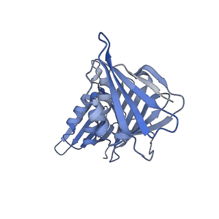 25614_7thv_G_v1-1
Structure of the yeast clamp loader (Replication Factor C RFC) bound to the sliding clamp (Proliferating Cell Nuclear Antigen PCNA) in an autoinhibited conformation