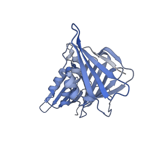 25614_7thv_G_v1-2
Structure of the yeast clamp loader (Replication Factor C RFC) bound to the sliding clamp (Proliferating Cell Nuclear Antigen PCNA) in an autoinhibited conformation