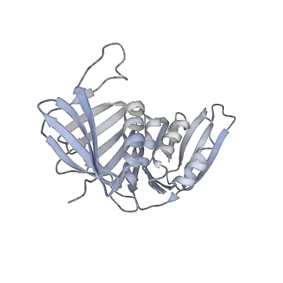 25614_7thv_H_v1-1
Structure of the yeast clamp loader (Replication Factor C RFC) bound to the sliding clamp (Proliferating Cell Nuclear Antigen PCNA) in an autoinhibited conformation
