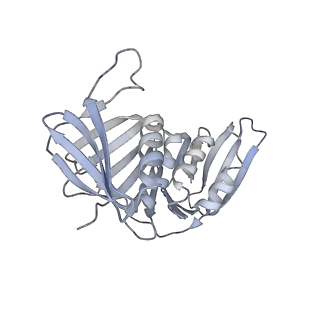 25614_7thv_H_v1-2
Structure of the yeast clamp loader (Replication Factor C RFC) bound to the sliding clamp (Proliferating Cell Nuclear Antigen PCNA) in an autoinhibited conformation