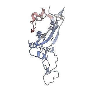 25893_7the_A_v1-2
Structure of RBD directed antibody DH1042 in complex with SARS-CoV-2 spike: Local refinement of RBD-Fab interface