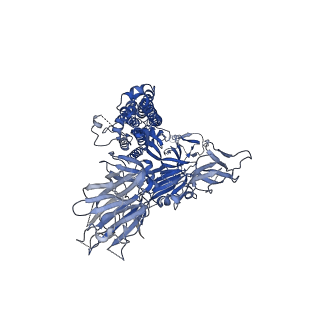 25896_7thk_A_v1-1
Cryo-EM structure of prefusion SARS-CoV-2 spike omicron B.1.1.529 variant
